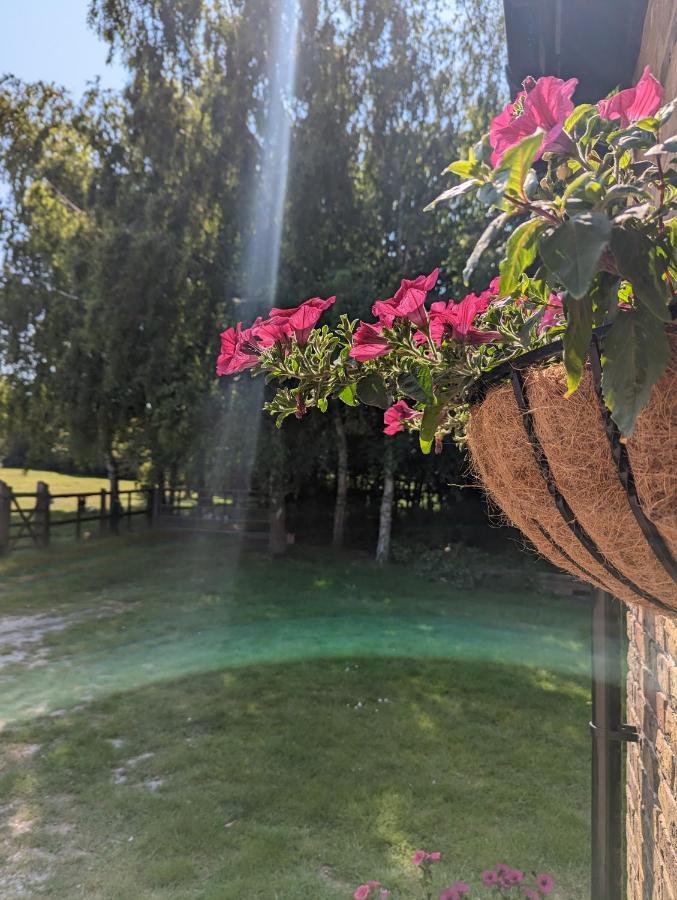 Myrtle Stables - Converted, Self-Contained, Countryside Hernhill Εξωτερικό φωτογραφία